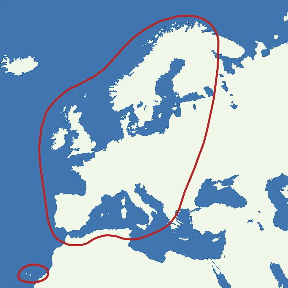 Europa-Karte mit rot markiertem Empfangsgebiet der Sat-Anlage AutoSat 2S 85 Control einschließlich der Kanarischen Inseln