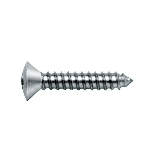 Silberne Linsensenk-Blechschraube Form C mit Kreuzschlitz H und spitzer Spitze, 3,5 x 19 Millimeter