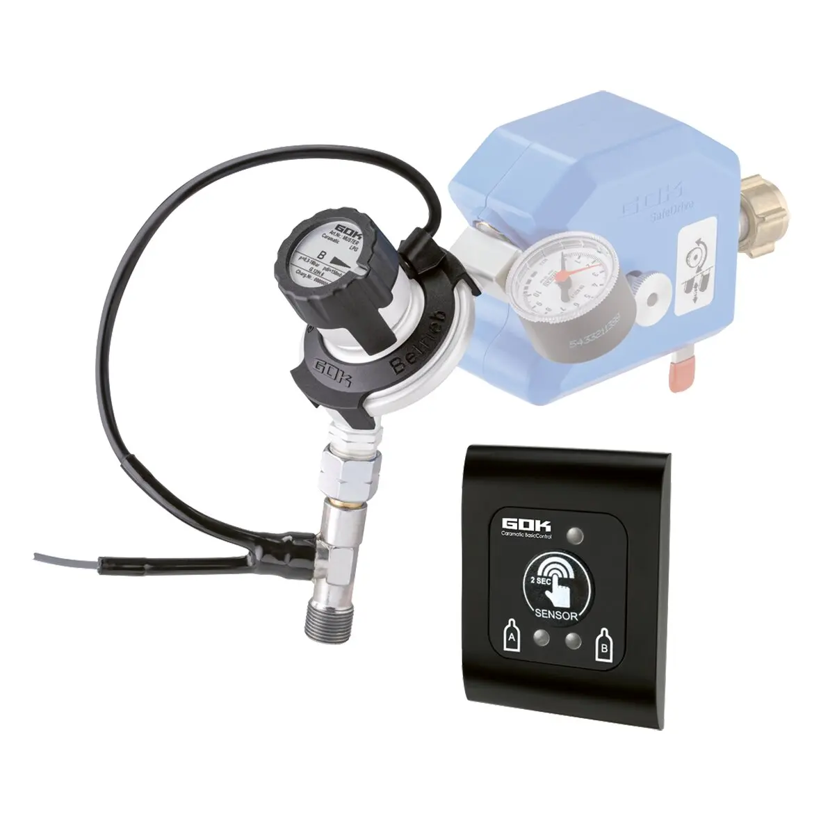 Komplettset Fernanzeige SV Caramatic BasicControl