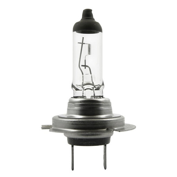 Halogen Bulbs, PX26d