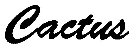Cactus