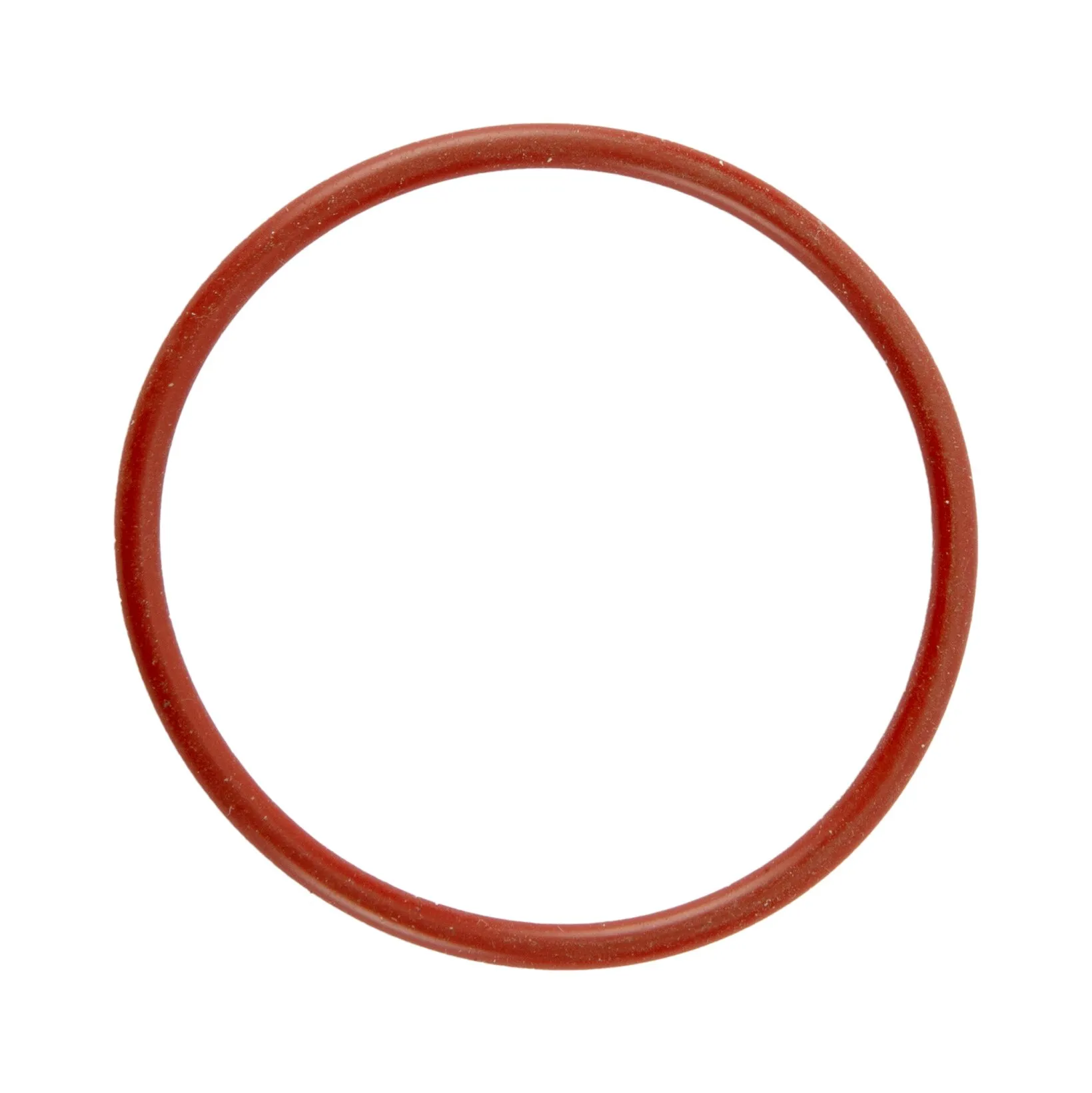 Roter O-Ring mit rundem Querschnitt, freigestellt auf weißem Hintergrund, Größe 40 x 2,5 mm