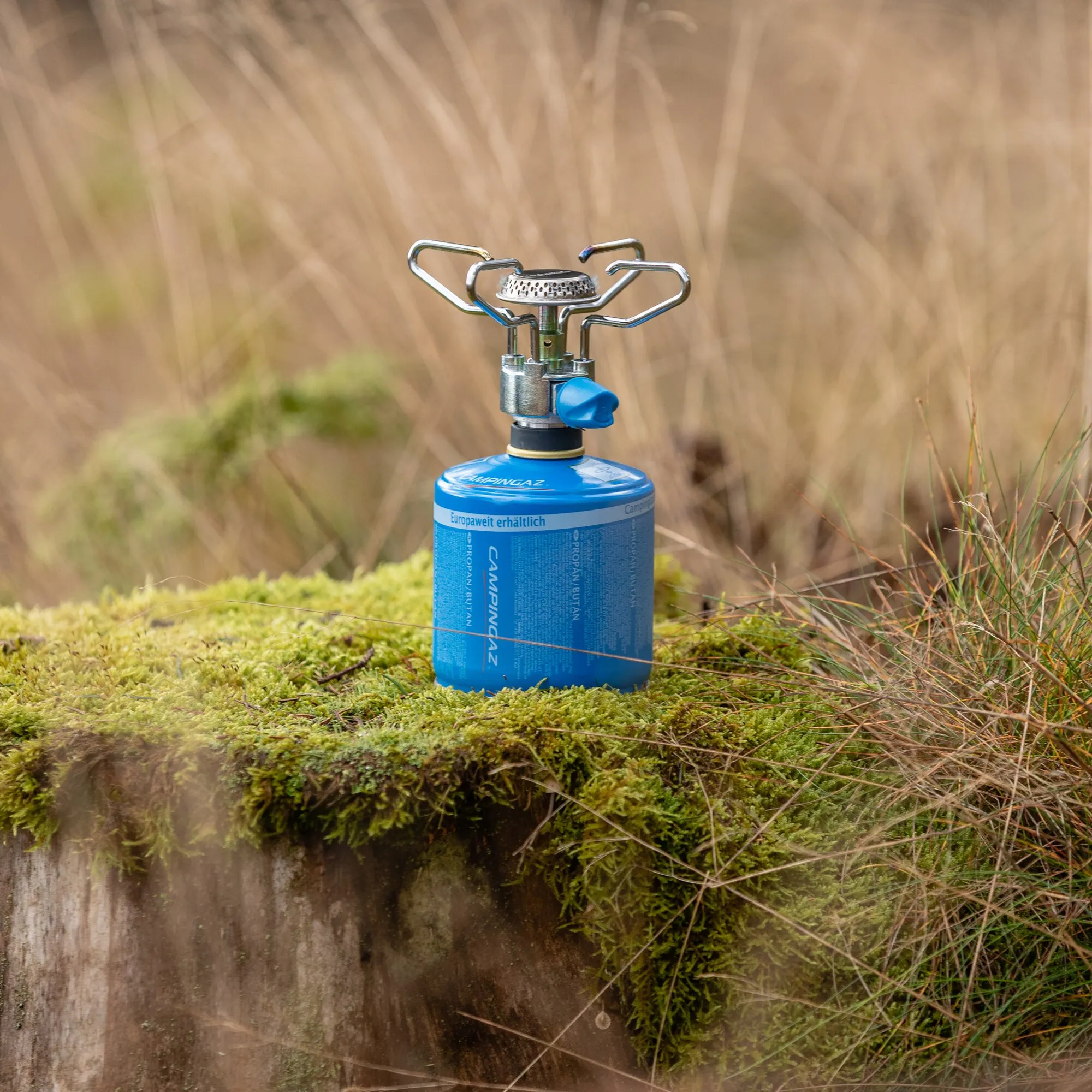 Blauer Camping-Gaskocher Bleuet Micro Plus mit silbernen Topfauflagen auf einer blauen Gaskartusche im moosbewachsenen Wald:VEVENT