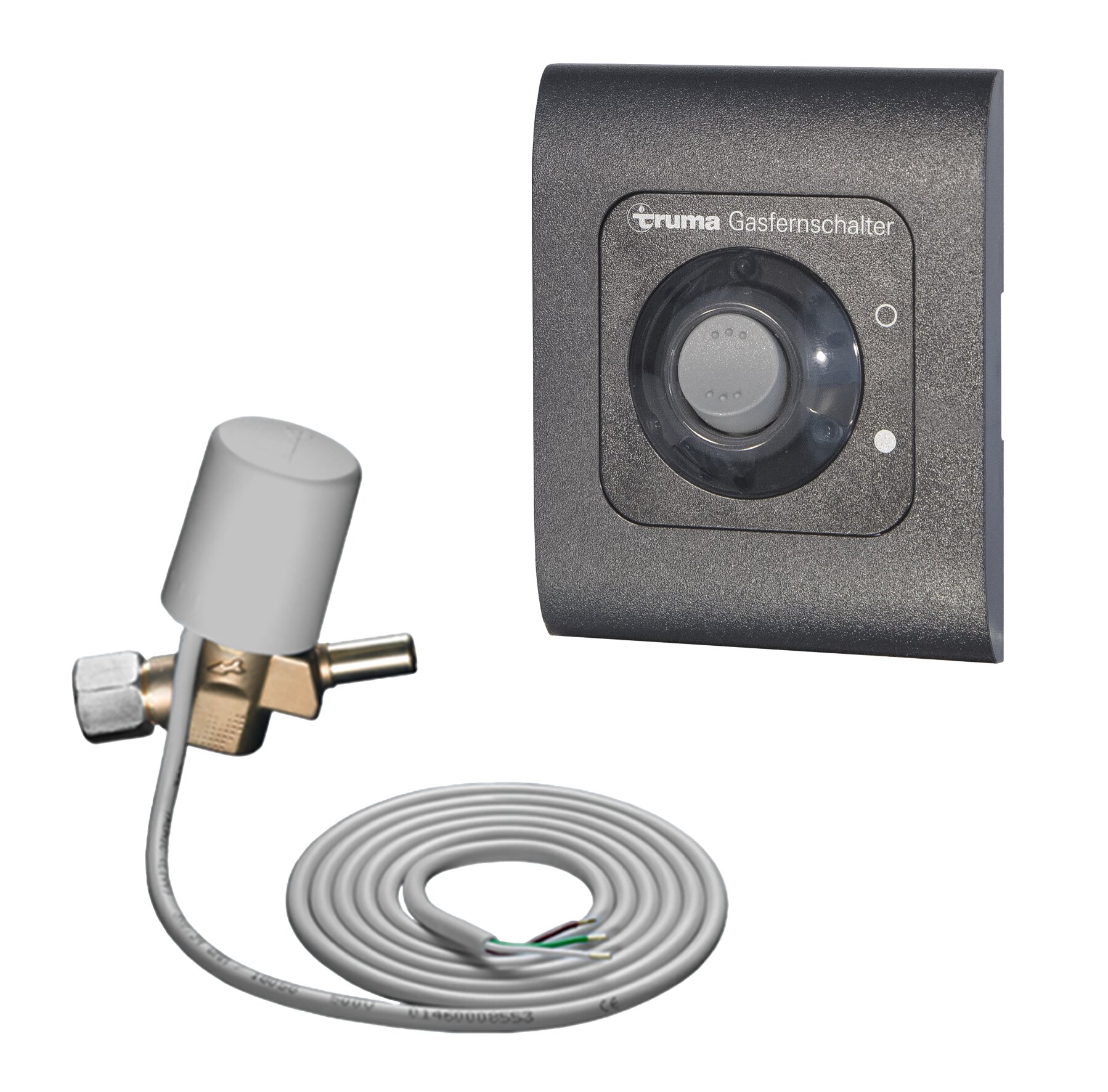 Remote Gas Switch, GS 10