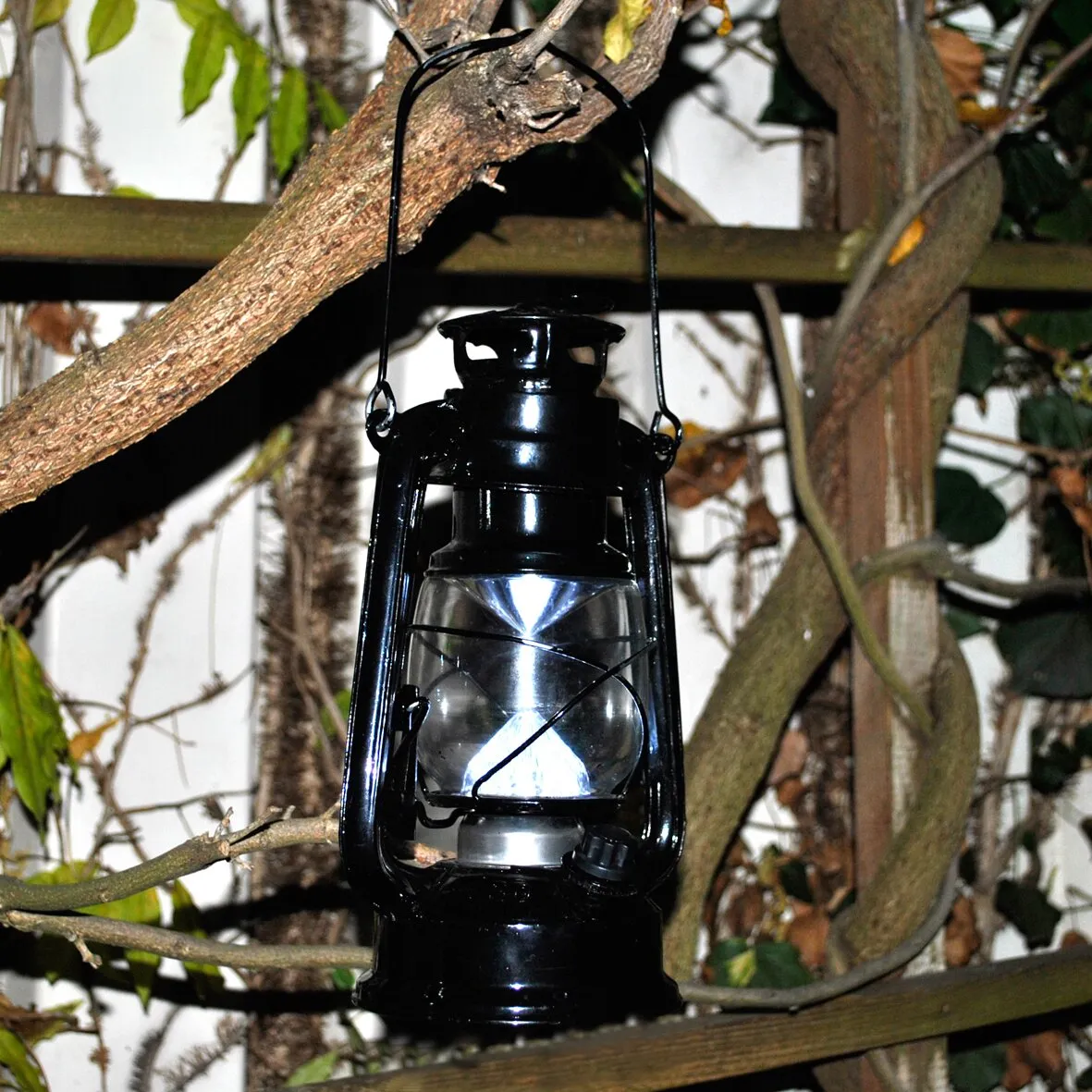 Schwarze Campinglampe im Laternenstil mit Tragebügel, Glaskolben und Einstellknopf, an einem Ast hängend