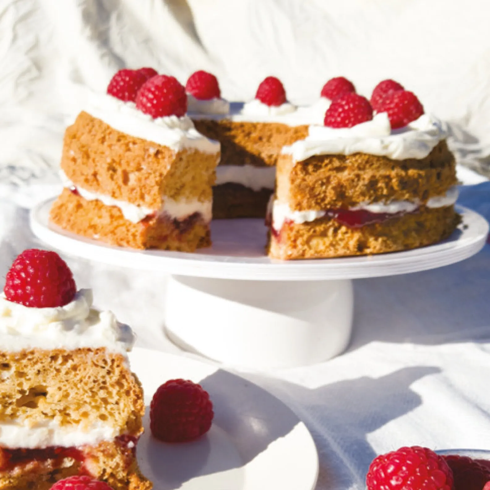 Mehrschichtiger Himbeerkuchen mit Sahne auf einer weißen Tortenplatte, Rezeptmotiv aus dem Backbuch für den Omnia Backofen