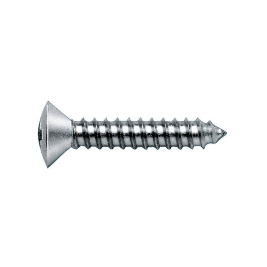 Raised Countersunk-Head Tapping Screw Form C with Cross Recess H, self-service, 2.9 x 13