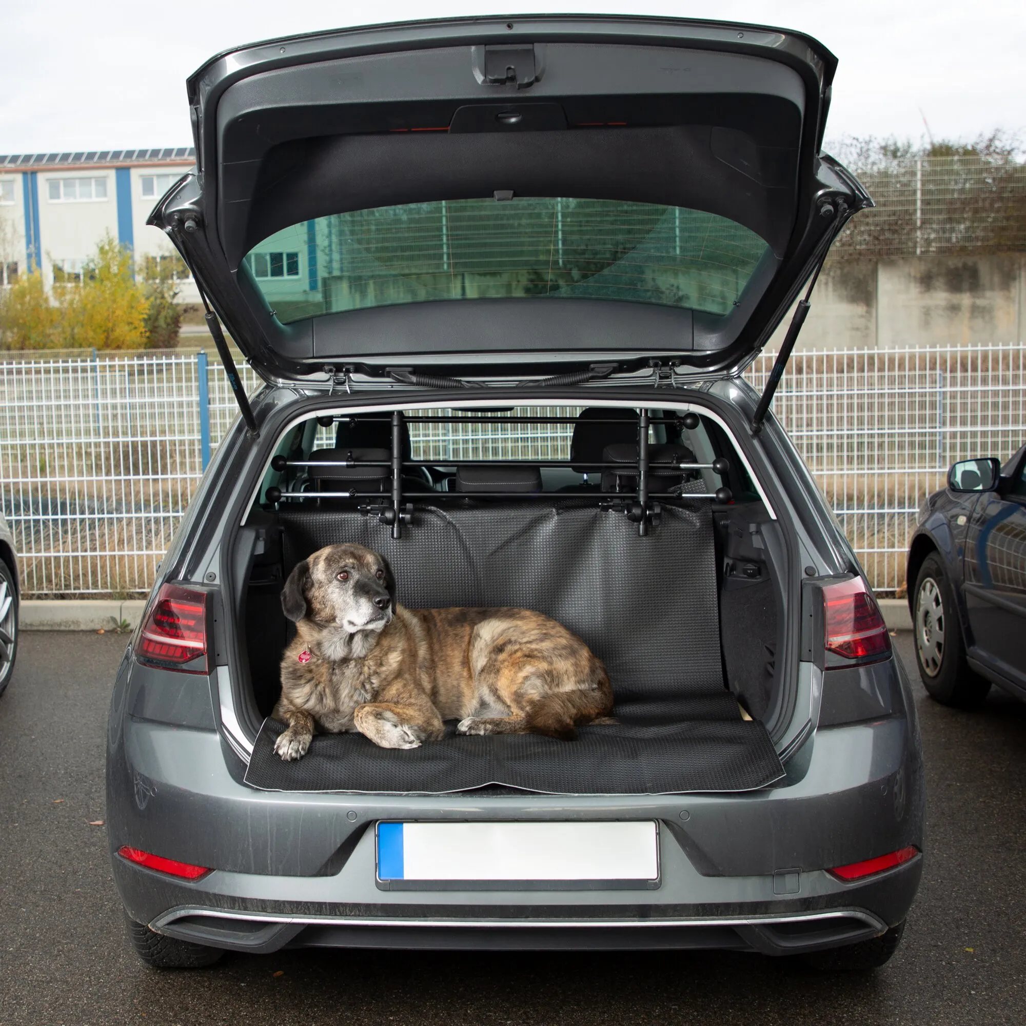 Geöffneter Kofferraum mit schwarzer Kofferraum- und Schmutzfangmatte, auf der ein Hund liegt