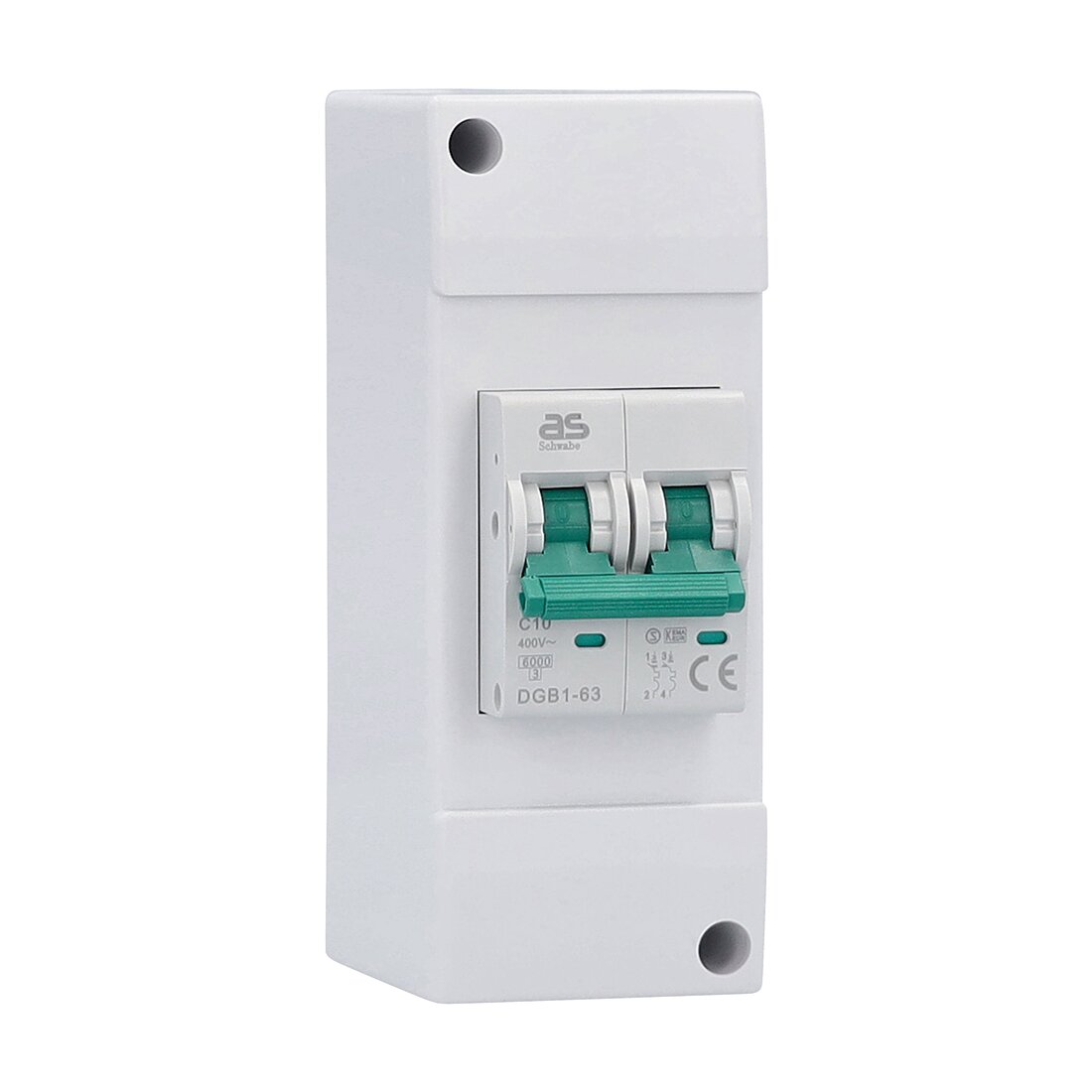 Fuse Box LS Circuit Breaker C10A in Plastic Housing