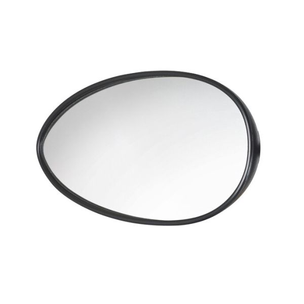Reich Spiegelkopf für SpeedFix Mirror Konvexglas