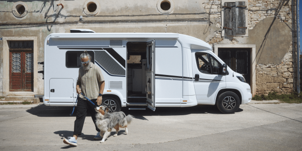 Camper-mit-Hund