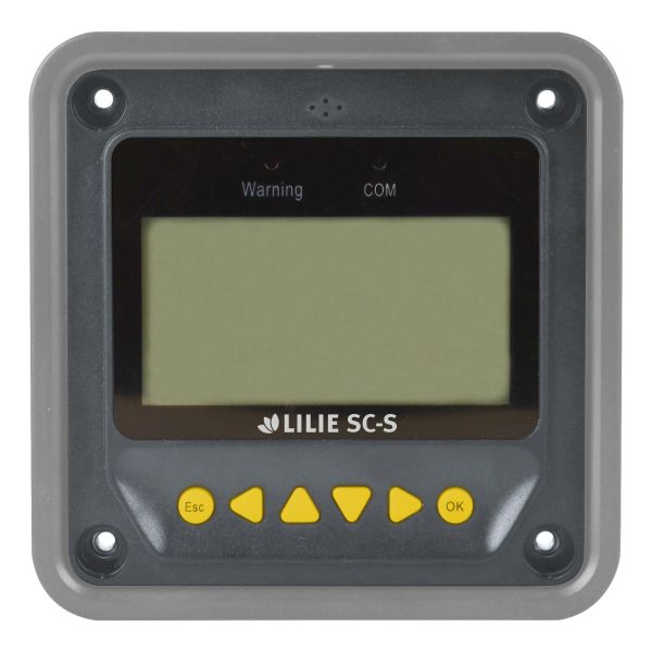 Lilie LCD-Batteriecomputer