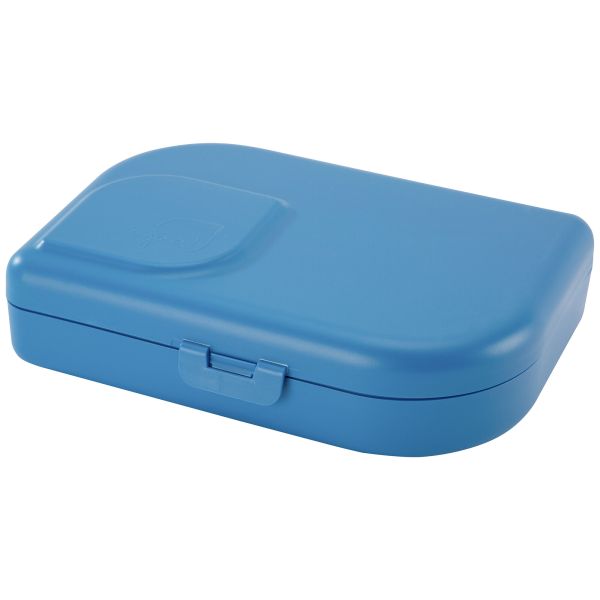 Lunch Box with Divider
