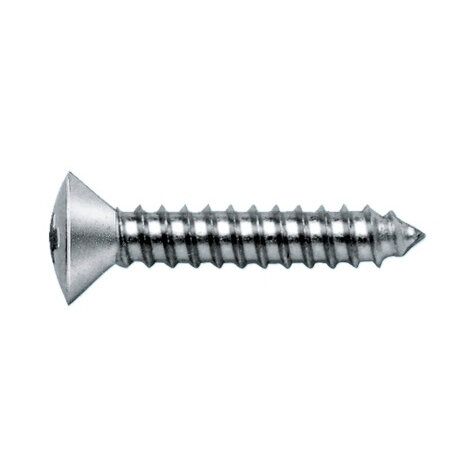 Fastening Screws A 2