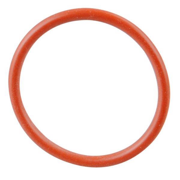 Truma O-Ring 22 x 2 mm für E 2400